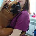 Фотография специалиста Суховерова Екатерина Сергеевна