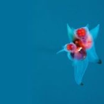 Госаптека, ГУП Башфармация на проспекте Октября фото 1
