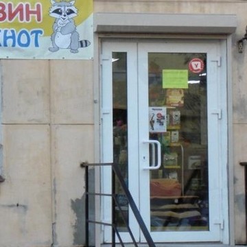 Енот на проспекте Ветеранов фото 1