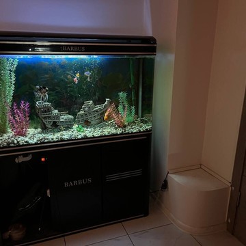 Салон эротического массажа Laguna фото 3