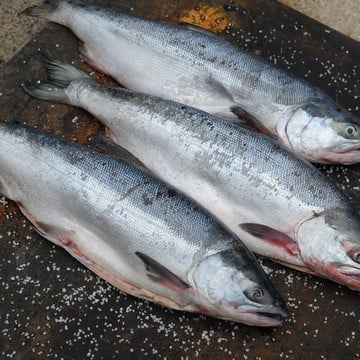 Магазин красной икры Сахалин рыба в районе Тропарёво-Никулино фото 2