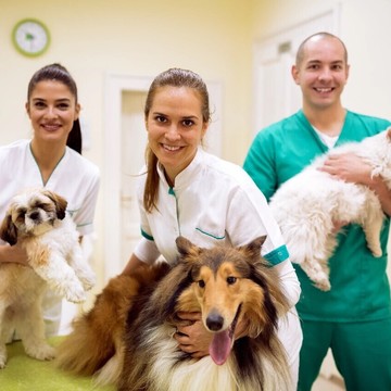 Ветеринарная клиника Белый Бим во Всеволожске фото 2