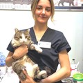 Фотография специалиста Егоркина Арина Владимировна