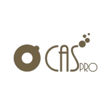 CasPro фото 1