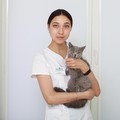 Фотография специалиста Цендякова Екатерина Витальевна