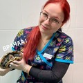 Фотография специалиста Ларионова Екатерина