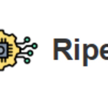 Маркетинговое агентство Digital-маркетинг Ripe фото 1