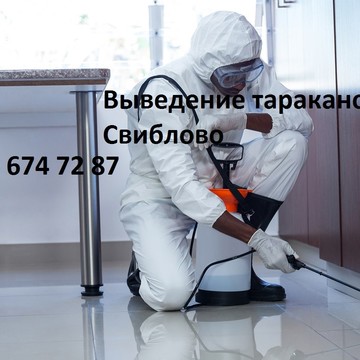 Выведение тараканов в Свиблово фото 1