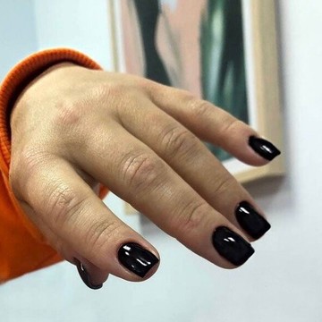 Студия Птички фото 2