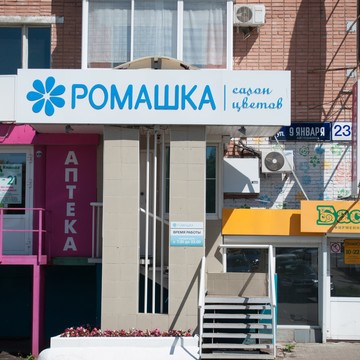 Ромашка на улице 9 Января фото 3
