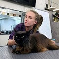 Фотография специалиста Полозова Кристина