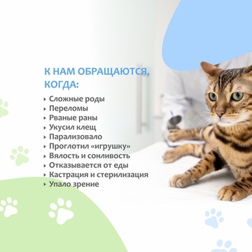 Ветеринарная клиника Vetdocs на Новоалексеевской улице, 12 стр 1 фото 3