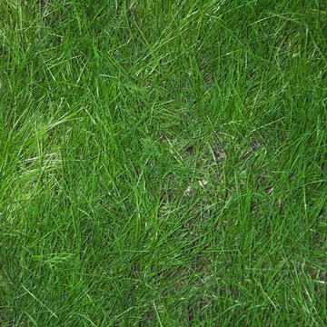 газонная трава на Арбате фото 3