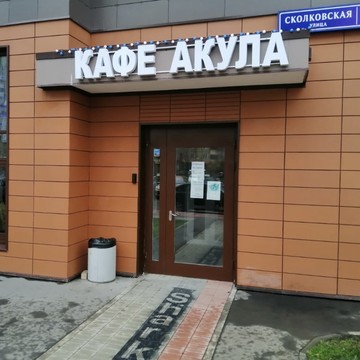 Кафе Акула фото 1