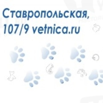Ветеринарная клиника Ника на Ставропольской улице фото 1