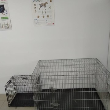 Ветеринарная клиника ТИМ на Спортивной улице фото 3