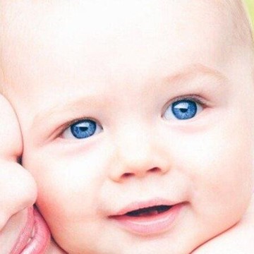 Детский центр раннего развития Надежда фото 2