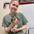 Фотография специалиста Дресвянина Дарья Александровна