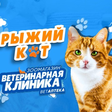 Ветеринарная клиника Рыжий Кот фото 1
