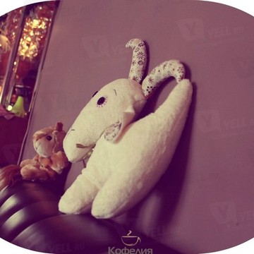 Кофейный Кот фото 1