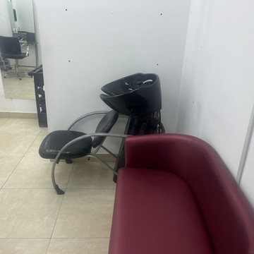 Стриж фото 3