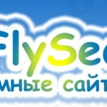 FlySeo фото 1