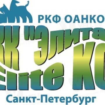 Элита в Василеостровском районе фото 1
