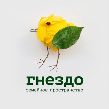 Семейное пространство Гнездо на Богатырском проспекте фото 3