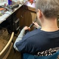 Фотография специалиста Елкин Евгений