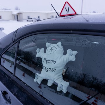 Автошкола Скай на Дибуновской улице, 65 фото 2