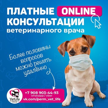 Ветеринарная клиника VetLife в Орджоникидзевском районе фото 3