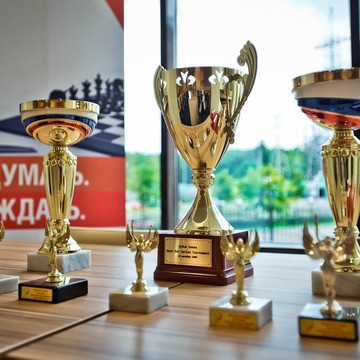 Русская шахматная школа в Санкт-Петербурге фото 2