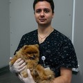 Фотография специалиста Кобзев Никита Геннадьевич
