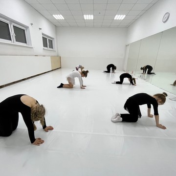 Школа художественной гимнастики GymBalance в Луговом проезде фото 2