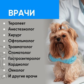 Ветеринарная клиника Ветнаходка в Красногорске фото 2