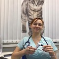 Фотография специалиста Выговская Екатерина Леонидовна