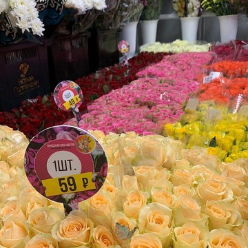 Городская база цветов на Южнобутовской улице фото 1