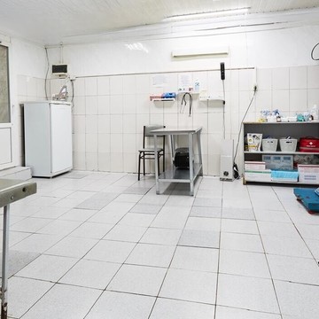 Ветеринарная клиника Алабай фото 1