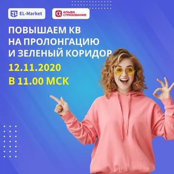 Компания Elmarket.pro фото 3