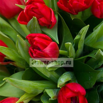 Flower-shop.ru фото 1