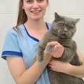 Фотография специалиста Лащенова Евгения Александровна