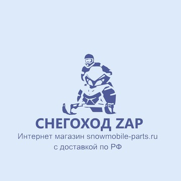 СНЕГОПАД ZAP фото 1