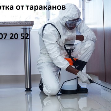 Обработка от тараканов фото 1