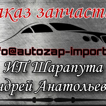 Магазин автозапчастей и автотоваров Autozap-import фото 1