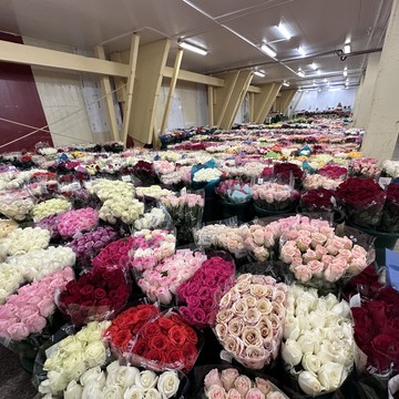 ЦВЕТОПТТОРГ фото 2