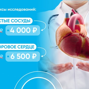 Сердечно-сосудистая система человека-одна из важнейших систем организма, которая обеспечивает циркуляцию крови и доставку кислорода к органам и тканям. Адрес: ул.Ставропольская, д.43 Запись по телефону +7 (992) 320-08-36 