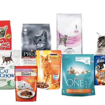 Сухие корма и лакомства для кошек в Интернет-магазине Зоотовары64 - с доставкой на дом. Лечебные, диетические корма и рационы на каждый день по ценам ниже чем в магазинах города