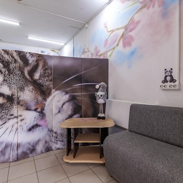 Груминг-салон VIP dog фото 1