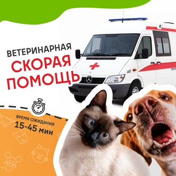 Ветеринарная служба ВетСкорая24 на Краснодарской улице фото 1