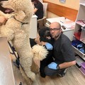 Фотография специалиста Османов Рустам Марветович